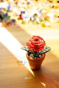 DSC_0015拷貝