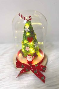 [IMS19-聖誕系列]－ 繽紛聖誕樹連玻璃罩（🎄聖誕特別版🎄） 價格
