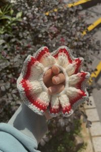 cropped-IMG_1742.jpeg