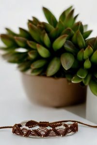 𝑩𝒓𝒂𝒄𝒆𝒍𝒆𝒕 Brown 01